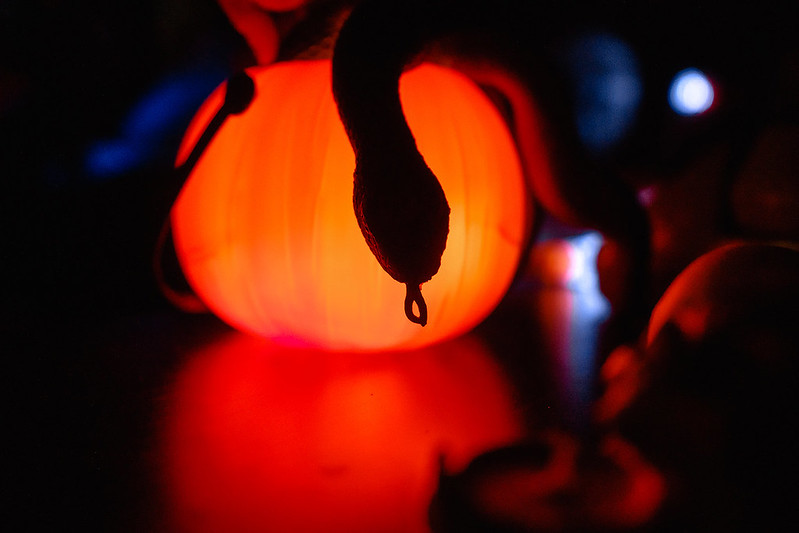 Украшение дома паутиной и летучими мышами к Хэллоуину в Voronezh